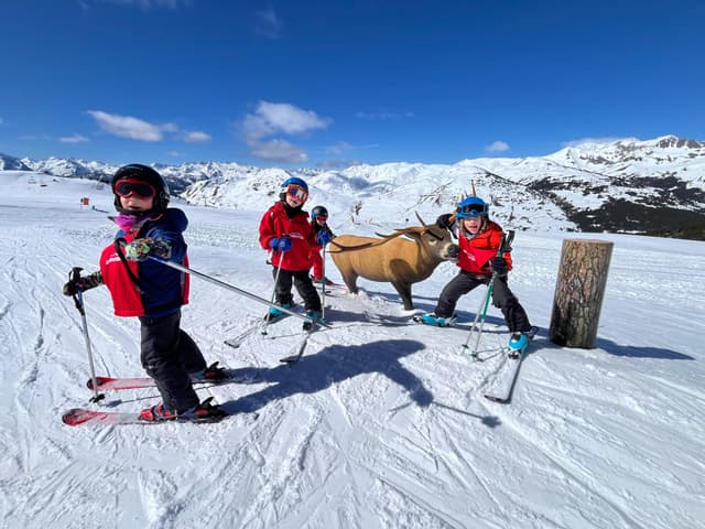 Clases particulares Esquí Baqueira